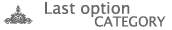 Last Option �J�e�S���[
