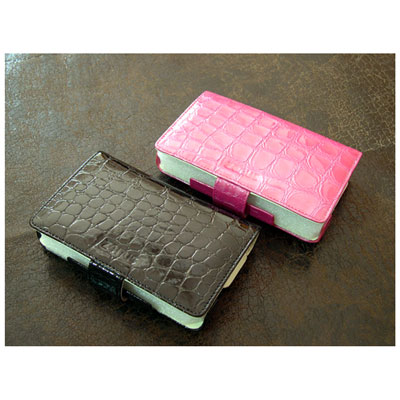 ZE-DSL01 DSLite�N���R���U�[�P�[�X