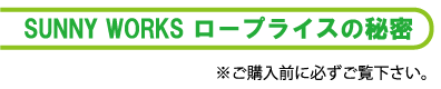 SUNNY WORKS���[�v���C�X�̔閧